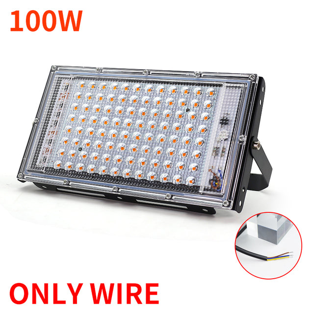 LED Grow Light Full Spectrum Light