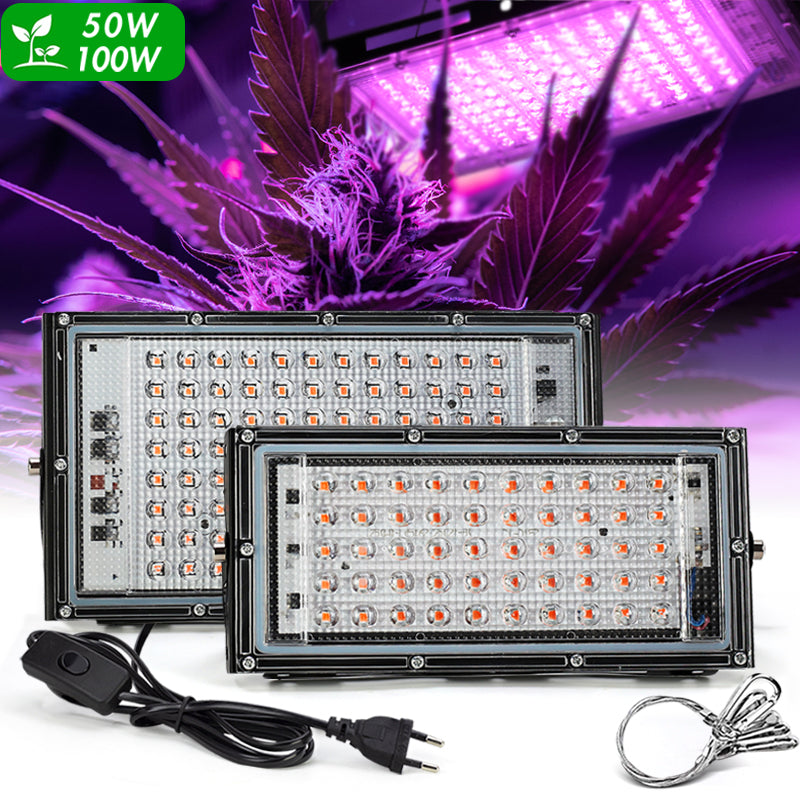 LED Grow Light Full Spectrum Light