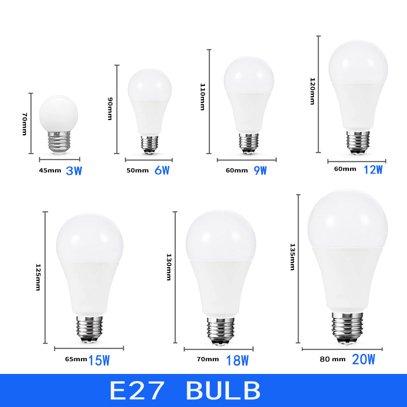 LED Bulb Lamps