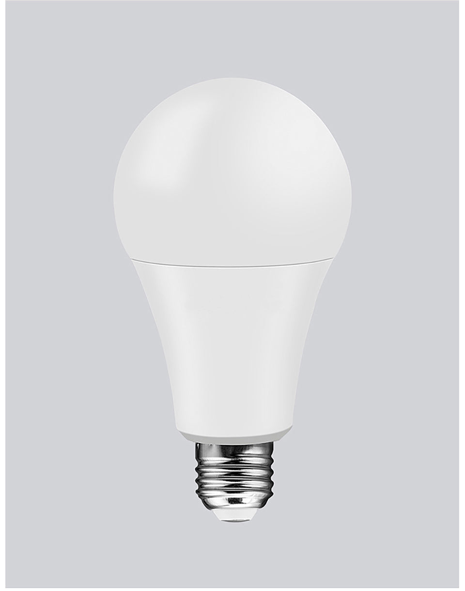 LED Bulb Lamps