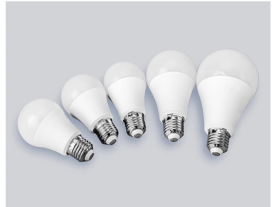 LED Bulb Lamps