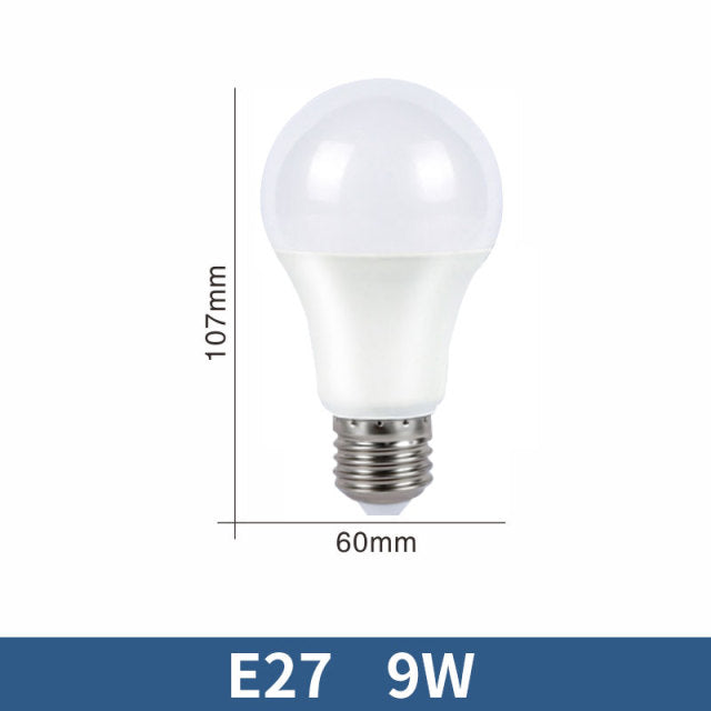 LED Bulb Lamps