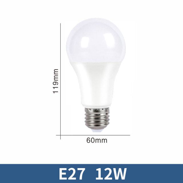 LED Bulb Lamps