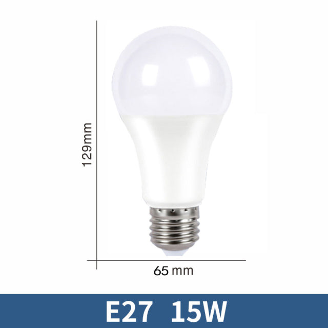 LED Bulb Lamps