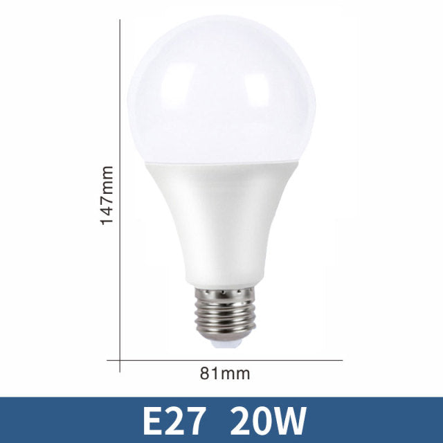 LED Bulb Lamps