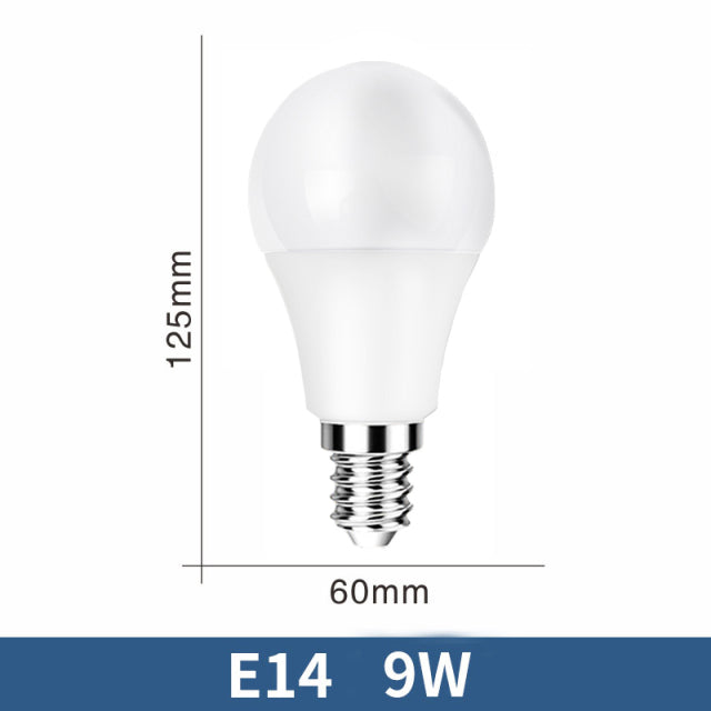 LED Bulb Lamps