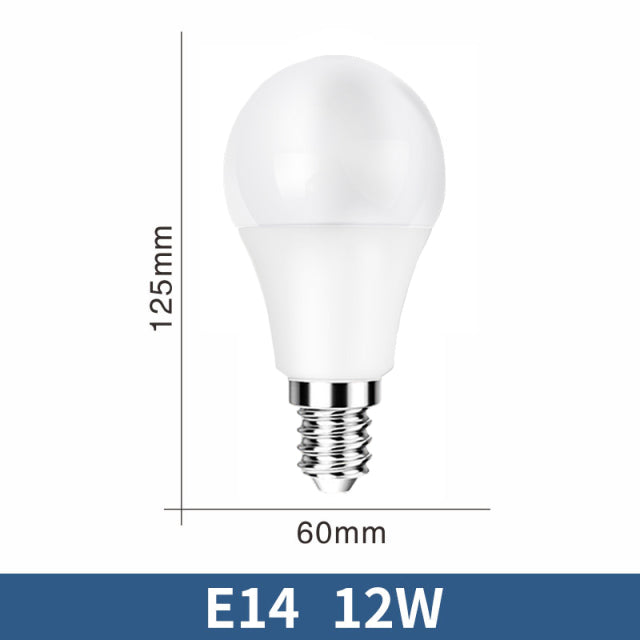 LED Bulb Lamps